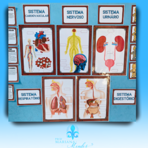 CIÊNCIA - Projeto Corpo Humano Descubra a Magia da Ciência com o Kit Trabalhando o Corpo Humano! 🧠