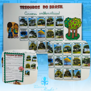 ATIVIDADES E RECURSO DIA DA ÁRVORE - ÁRVORES EMBLEMÁTICAS